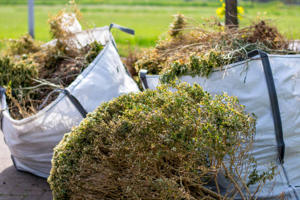 Same-Day Junk Removal Services in Bagdad, FL
